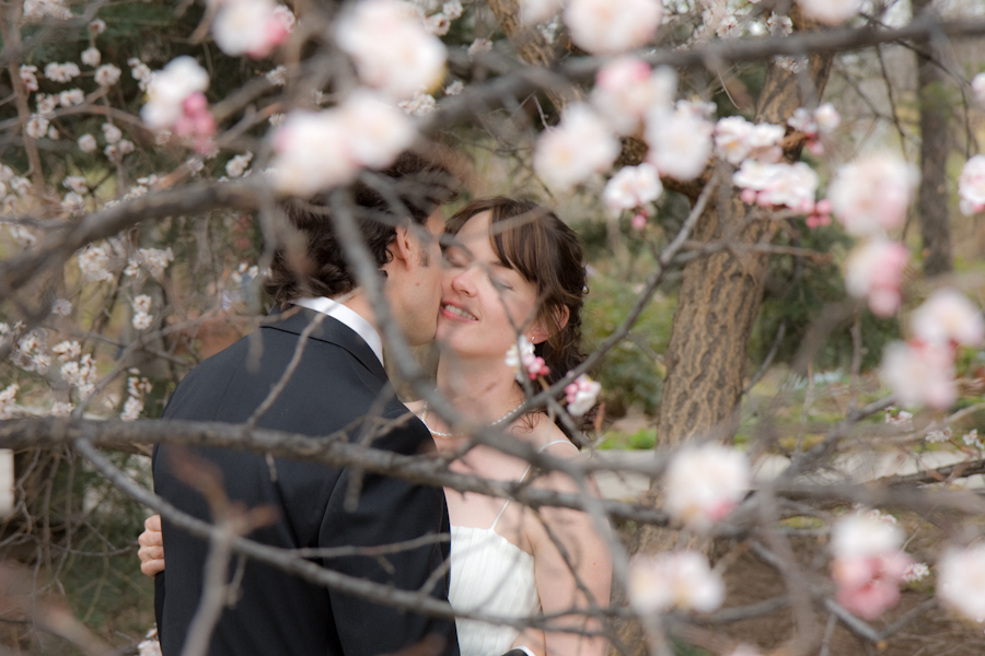 Denver Botanical Gardens Wedding